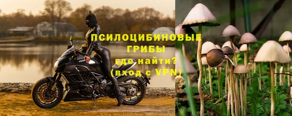 дживик Арсеньев