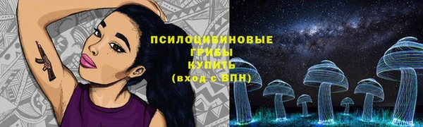 дмт Армянск